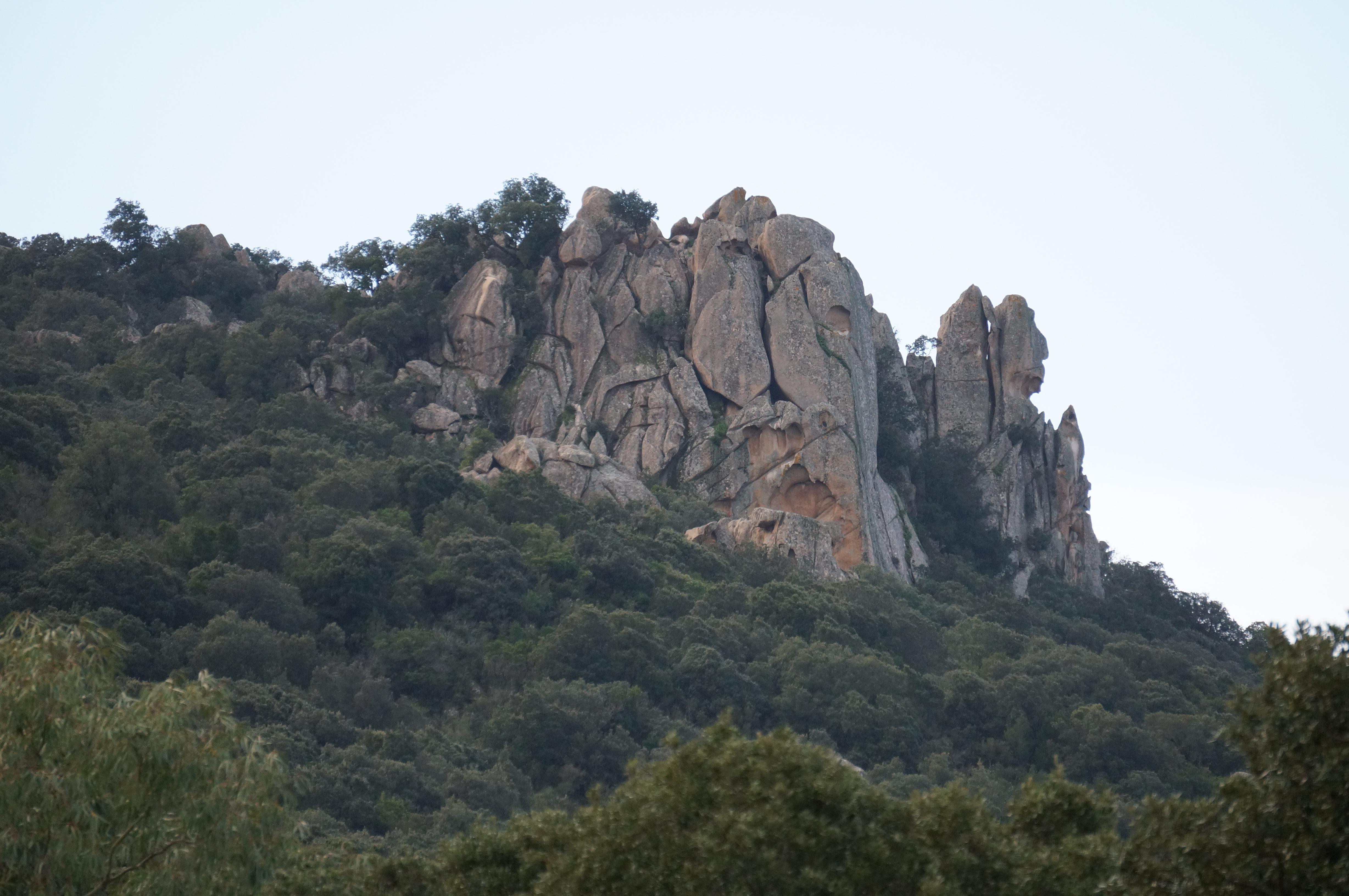 rupione