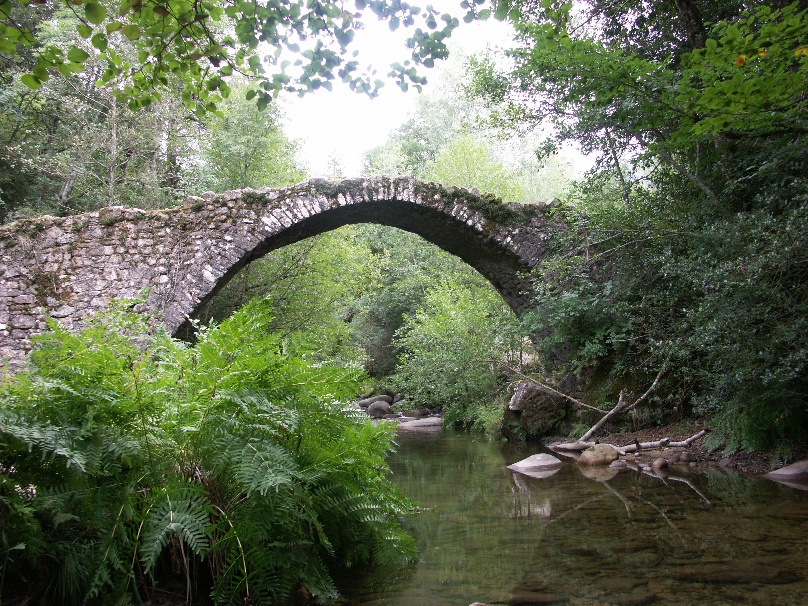 pont genois